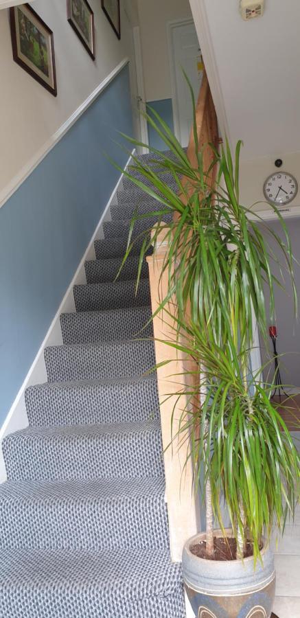 캐번 Farnham House B&B 외부 사진